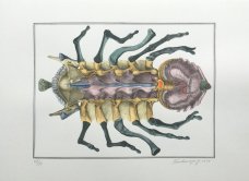 Jan Švankmajer: Bilderlexikon - hexapoda 9