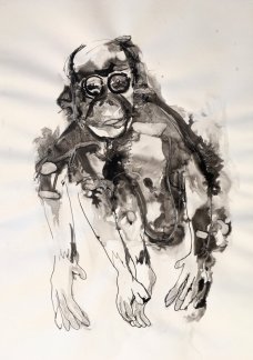 Lawrence Wells - Dead Orangutan
