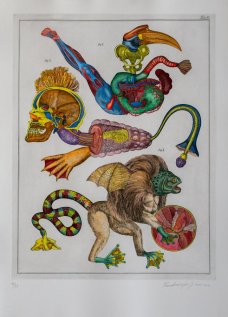 Jan Švankmajer, Z cyklu Přírodopis Tabulka č. 10