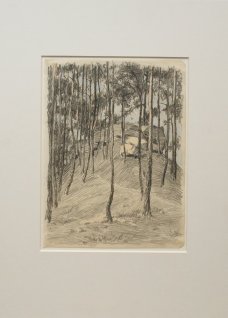 Hana Jedličková: The Forest Hill