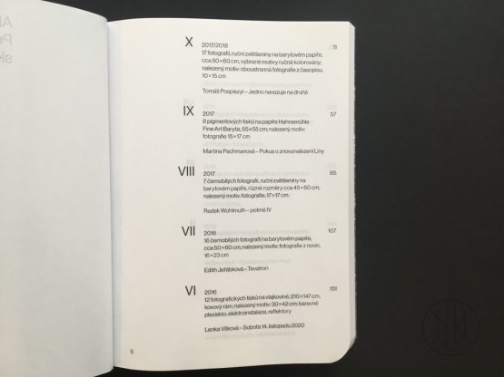 Alena Kotzmannová / Pokus o znovunalezení skutečnosti
