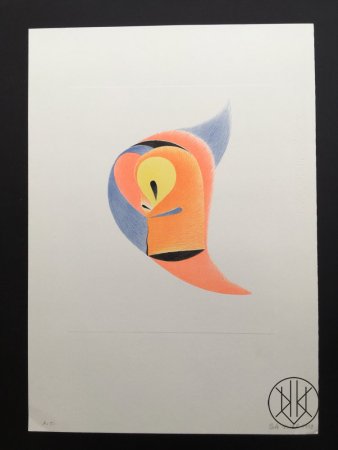 Petr Nikl: The Parrot with an yellow eye