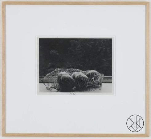 Jan Svoboda: Odpoledne IV