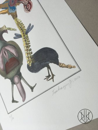 Jan Švankmajer: Bilderlexikon - Zoologie 13