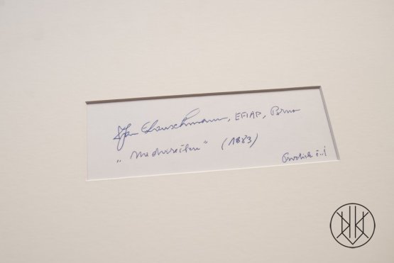 Jan Lauschmann - Na dvorečku