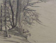 Hana Autengruberová-Jedličková: Kraj lesa