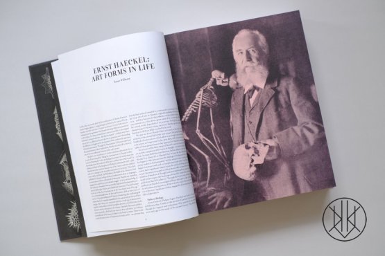 The Art and Science of Ernst Haeckel