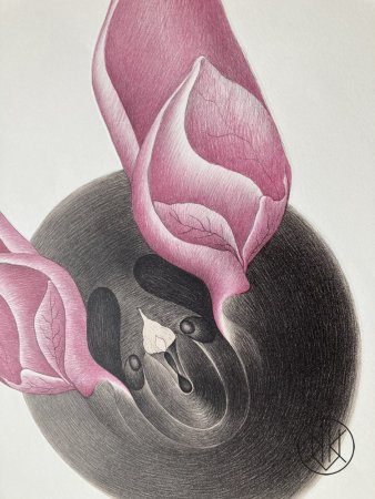 Petr Nikl: Netopýr s růžovýma ušima I