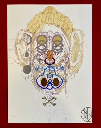 Sbírkový set: Sběratelský duet Luboše Plného