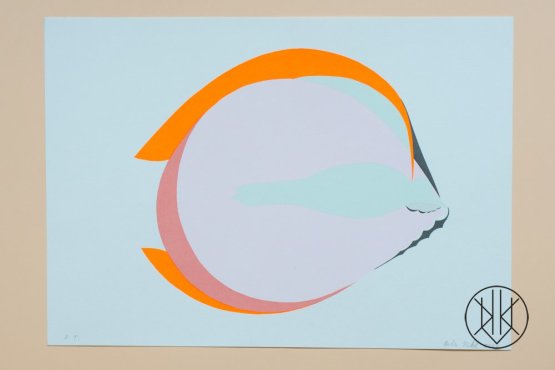 Petr Nikl: Oko