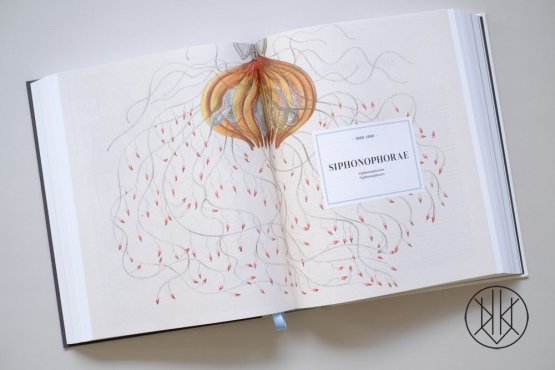 The Art and Science of Ernst Haeckel