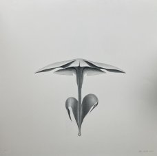 Petr Nikl: Placatý květ