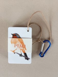Ptáci Kapesní atlas