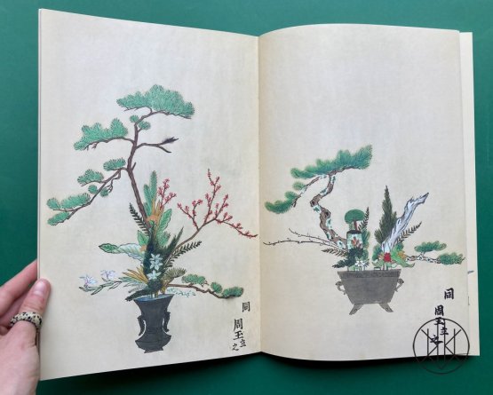 Ikebana