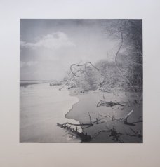 Jan Jedlička - Maremma, heliogravura