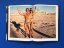 Helmut Newton – Legacy