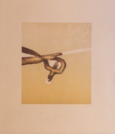 Miroslav Pošvic, Unfinished