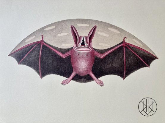 Petr Nikl: Letící netopýr