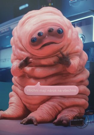 Rafani: Všichni mají nárok na všechno