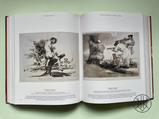 Goya: The Complete Prints
