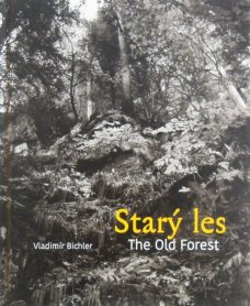 Starý les / The Old Forest