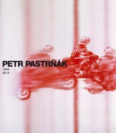 Petr Pastrňák. Vítr vlní tichý les