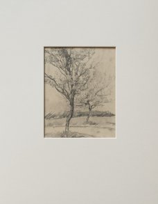 Jan Autengruber: Kvetoucí stromy