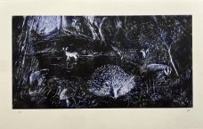 Ilya Kreines: Night Hedgehog - Forest