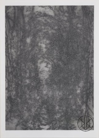 Alena Kučerová: Lesní příkop