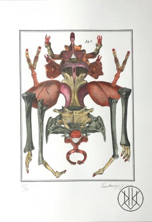 Jan Švankmajer: Bilderlexikon - Hexapoda 10