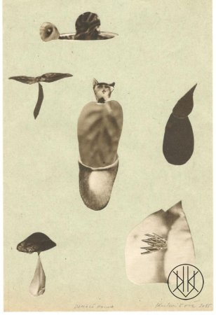 Michaela Kukovičová: Domácí Fauna III