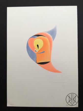 Petr Nikl: Papoušek se žlutým okem