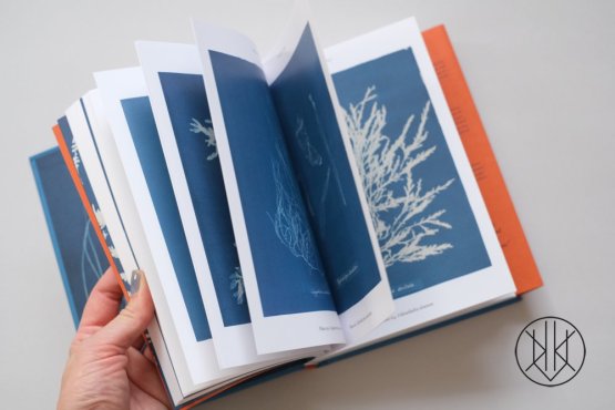 Anna Atkins: Cyanotypes