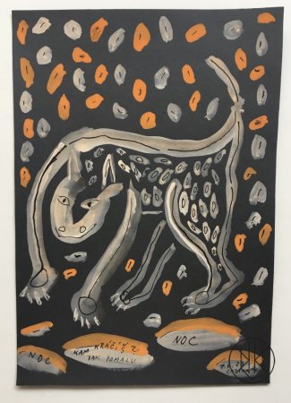 David Cajthaml: Noc