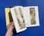 Mucha (english edition)
