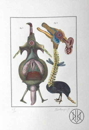 Jan Švankmajer: Bilderlexikon - Zoology 13