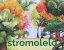 Stromolelo