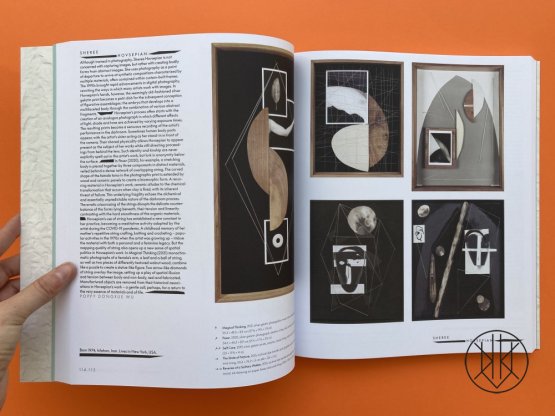 Vitamin C+: Collage in Contemporary Art