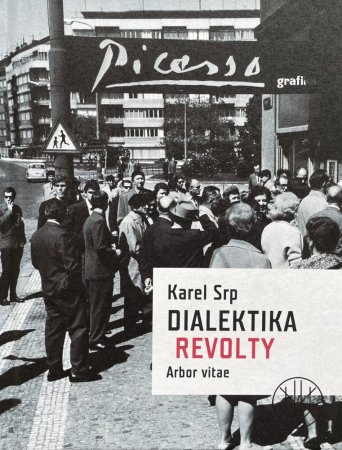 Dialektika revolty. Vliv díla Pabla Picassa v Čechách