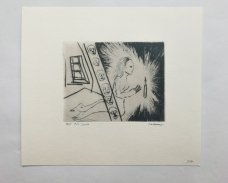David Cajthaml - Karel Jaromír Erben, Svatební košile