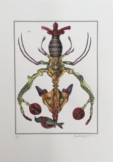 Jan Švankmajer: Bilderlexikon - zoologie 7