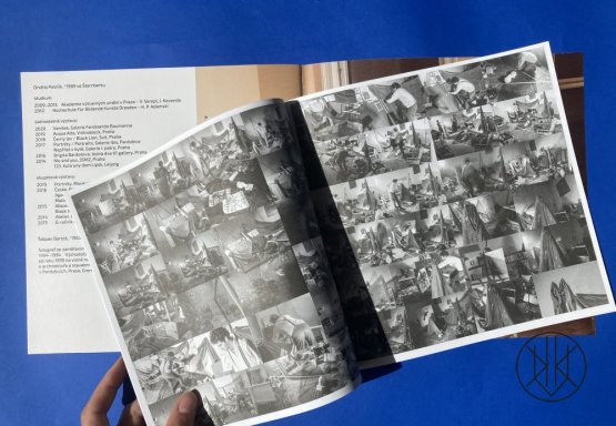 Ondřej Petrlík: Fotosochy