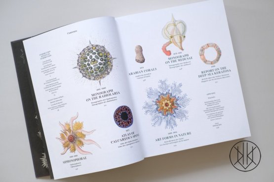 The Art and Science of Ernst Haeckel