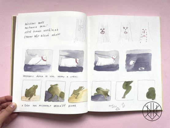 Jantra Šímová: Dáša