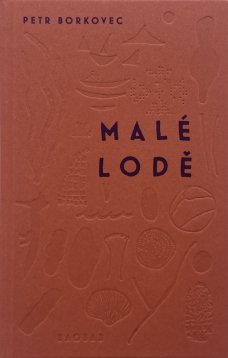 Malé lodě