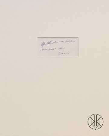 Jan Lauschmann - Strom v zimě