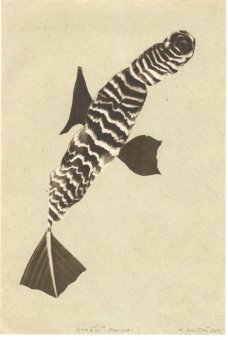 Michaela Kukovičová: Domácí Fauna I
