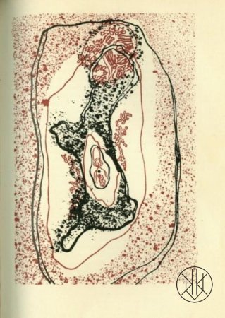 Comte de Lautrémont - MALDOROR (Jindřich Štýrský ilustrace)