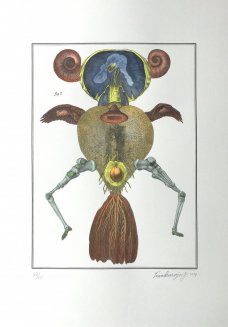 Jan Švankmajer: Bilderlexikon - Zoology 14