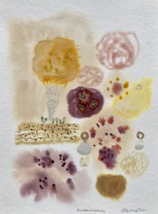 Alžběta Skálová: Zmrzlinová abstrakce